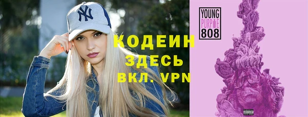 мет Ельня