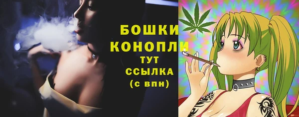 MESCALINE Елизово