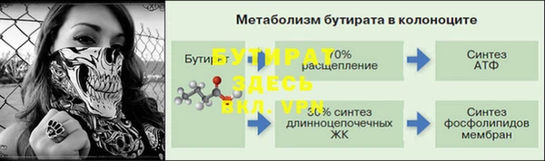 мет Ельня