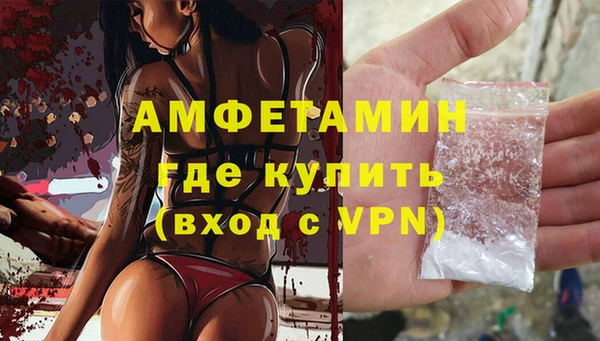 мет Ельня