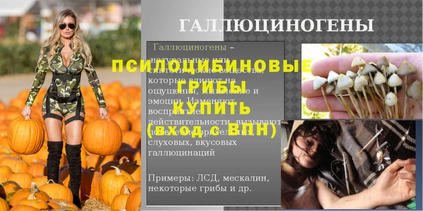 мет Ельня
