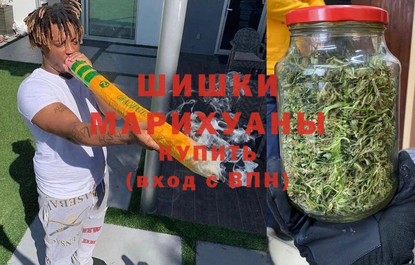 прущие грибы Дмитровск